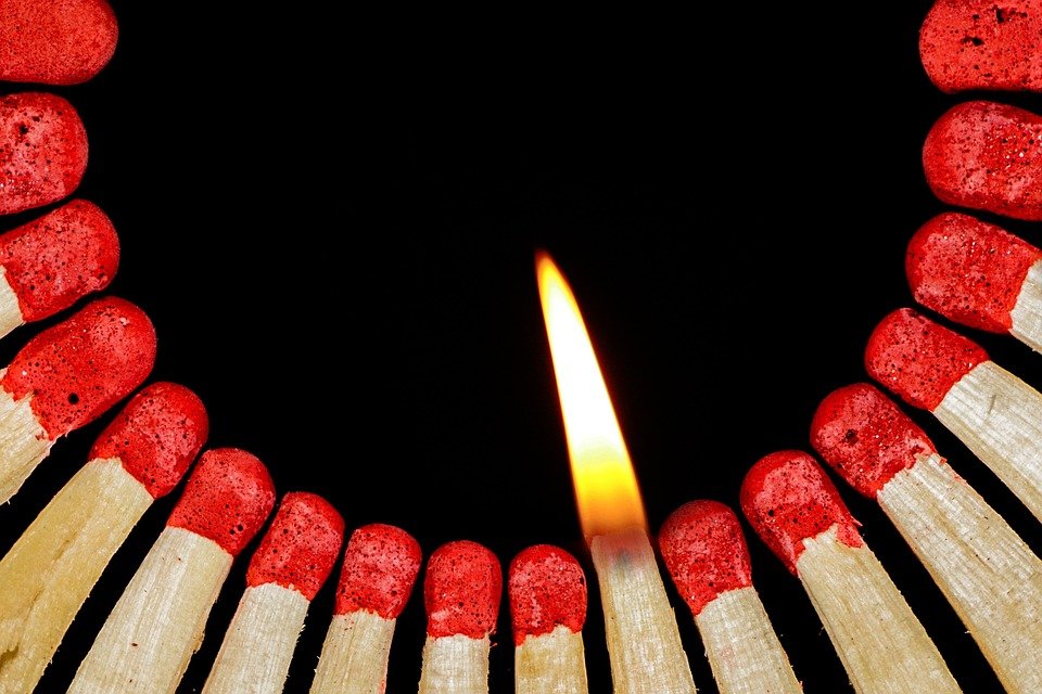 Cricket Longevity Lessons: Champions Trophy Players 2025